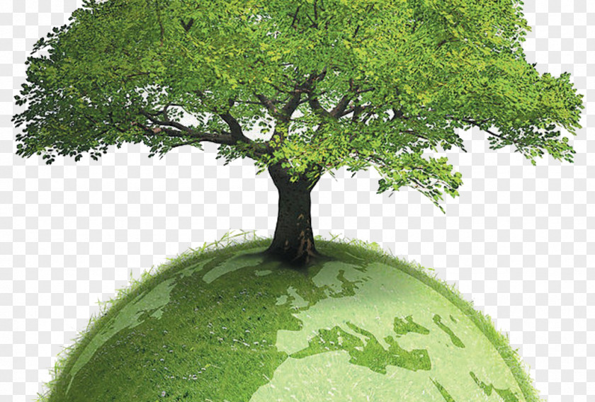 Caring For The Earth Protection Of Trees Environmentally Friendly Sustainability Sustainable Development Paper Environmentalism PNG
