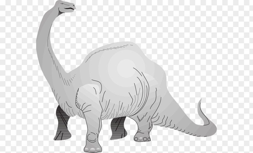 Dinosaur Brachiosaurus Apatosaurus Tyrannosaurus Stegosaurus Brontosaurus PNG