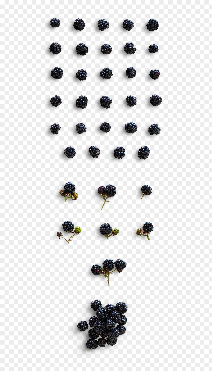 Fresh Blueberries Berry Intercom PNG