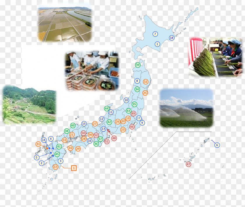 Maff Ministry Of Agriculture, Forestry And Fisheries Yatsushiro Agricultural Policy 熊本県庁経営局 流通企画課地産地消・加工班 PNG