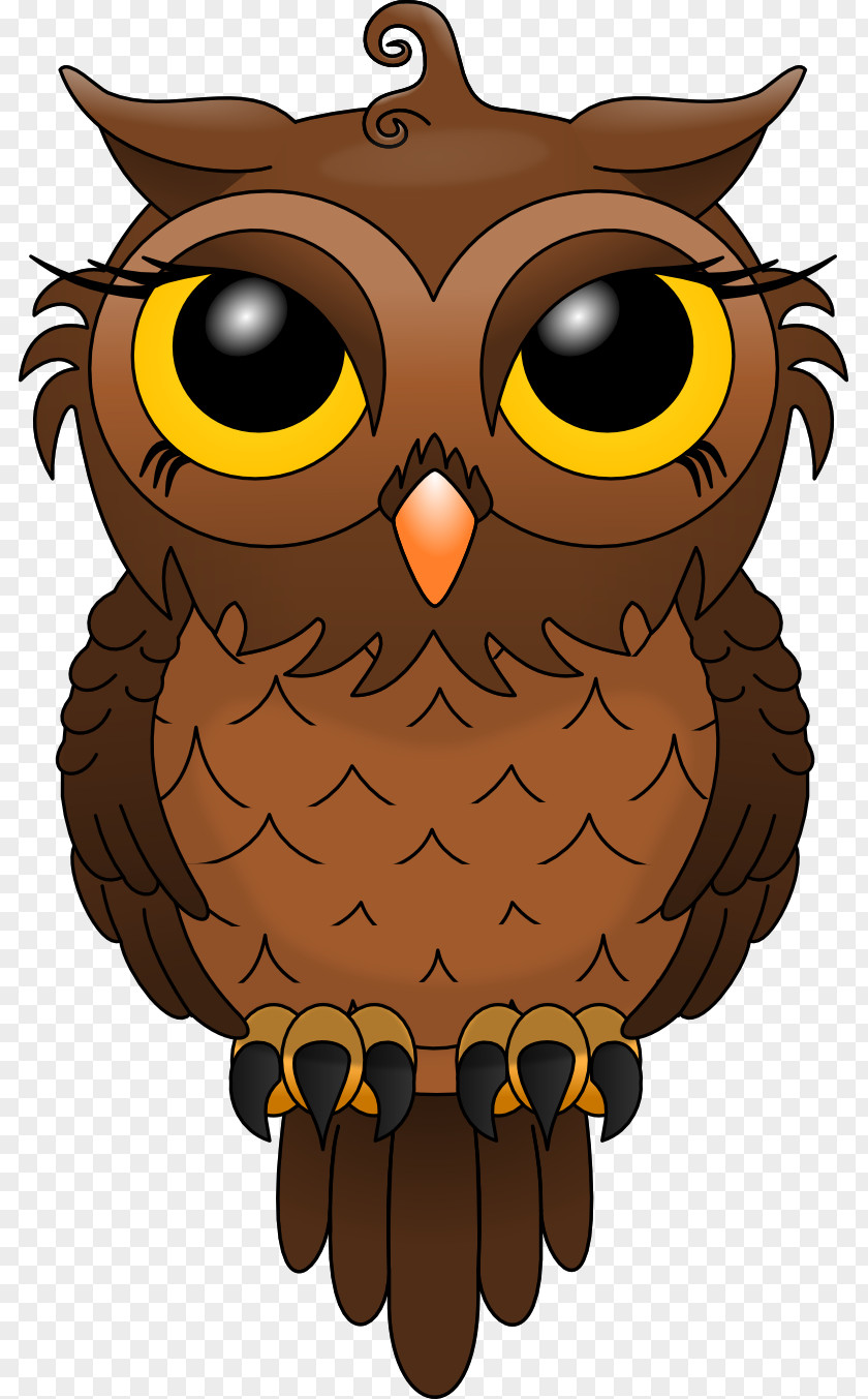 Owl Bird Clip Art Drawing Vector Graphics PNG
