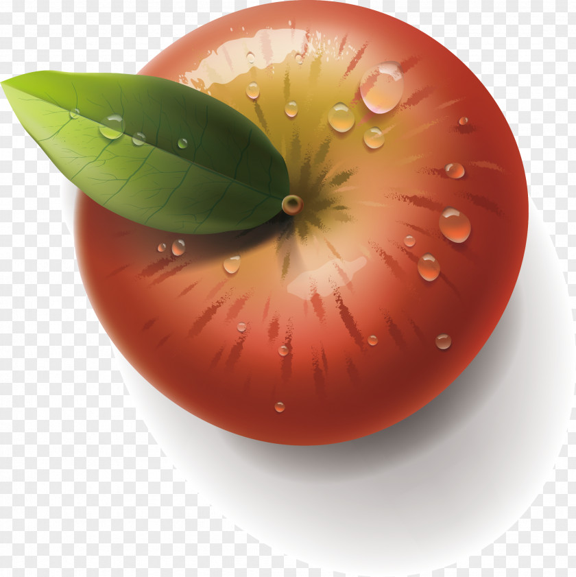 Red Apple Green Leaf Element Adobe Illustrator PNG