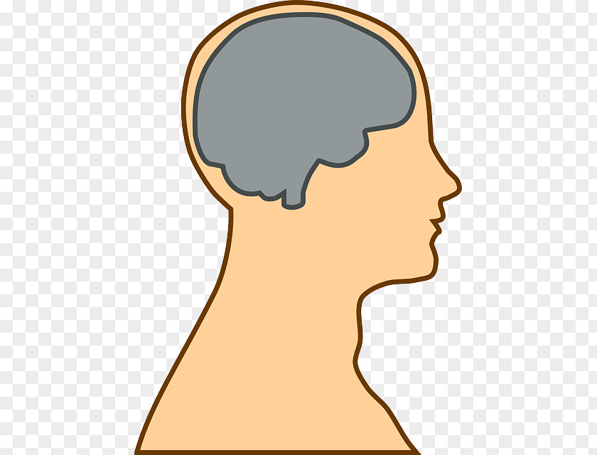 Brain Clip Art PNG