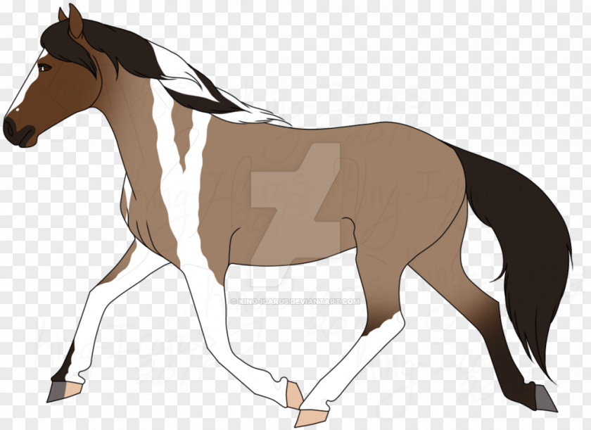 Goddess Of Wisdom Mule Foal Stallion Mare Rein PNG