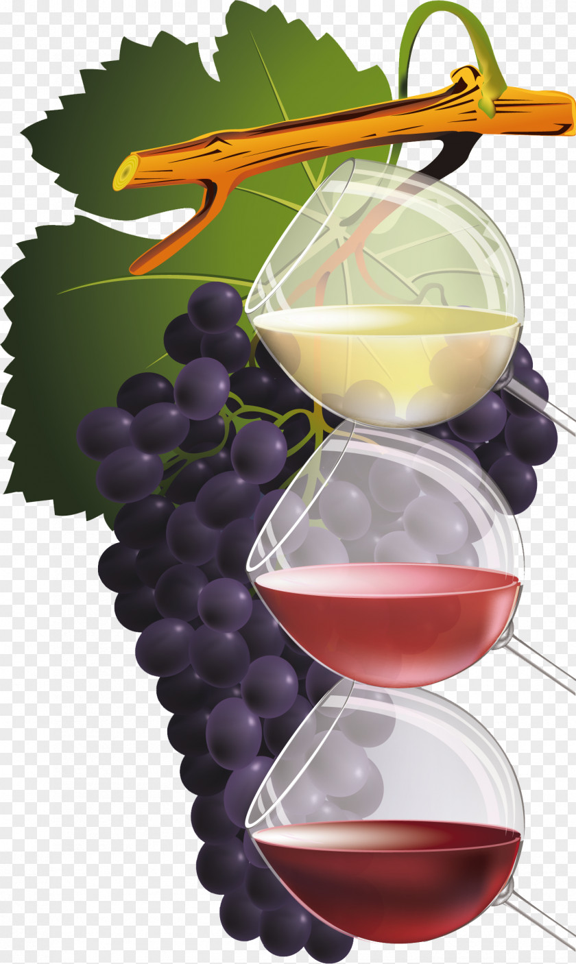 Grapes Red Wine Common Grape Vine PNG