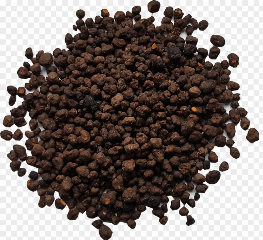 Neem Assam Tea Seasoning Cubeb Plant PNG