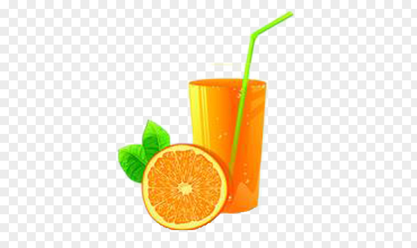 Orange Juice Drink Soft Non-alcoholic PNG