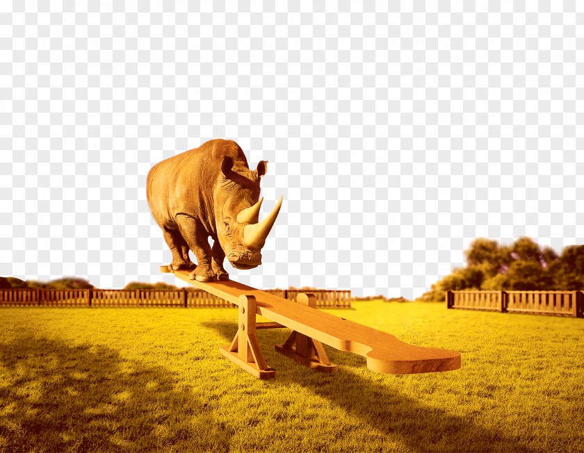 Rhino On Seesaw Computer Keyboard PNG