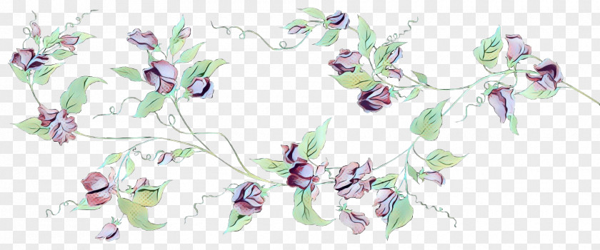 Wildflower Plant Flowers Background PNG