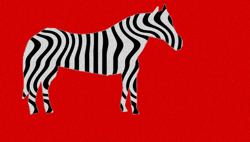 Zebra Quagga Animal Horse PNG