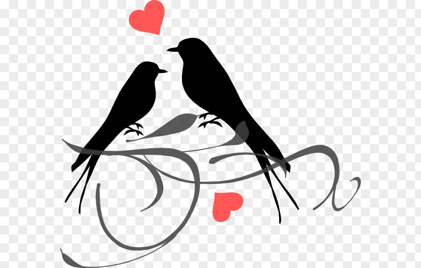 Bird Grey-headed Lovebird Clip Art PNG