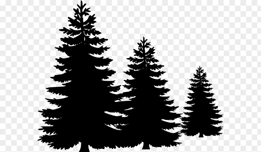 Black Forest Cake Pine Fir Tree Evergreen Clip Art PNG
