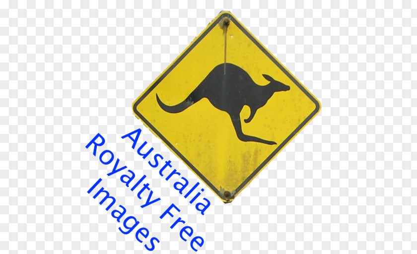 Kangaroo Boxing Australia Koala Stock Photography PNG