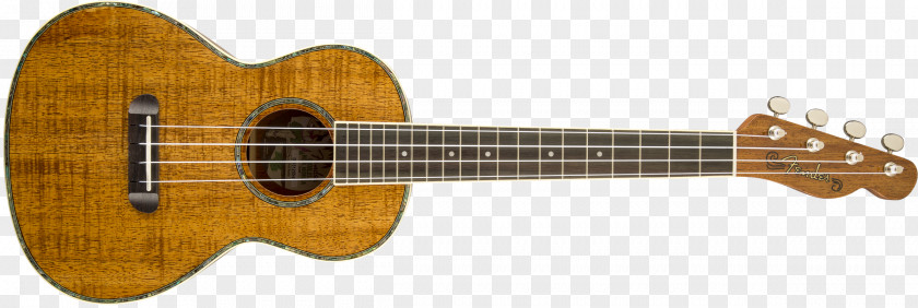 Musical Instruments Fender Nohea Koa Tenor Ukulele Corporation PNG