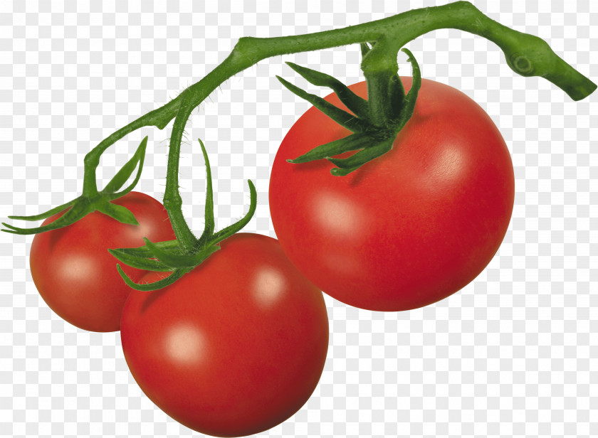 Tomato Image Cherry Roma Clip Art PNG