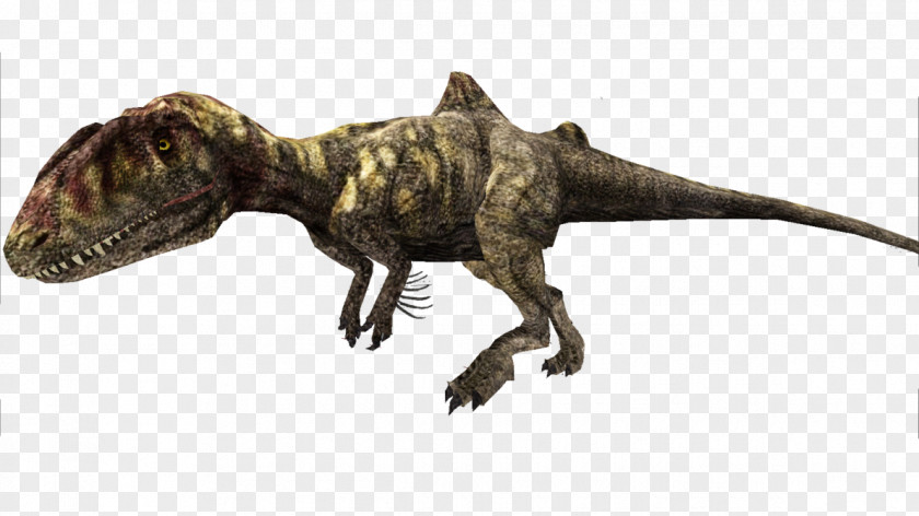 Tyrannosaurus Velociraptor Torvosaurus Allosaurus Kelmayisaurus PNG