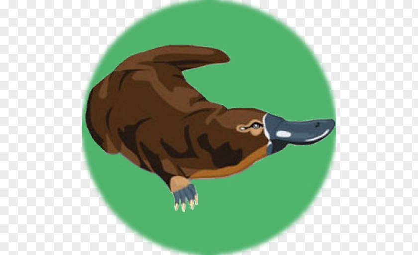Beaver Platypus Beak Duck Otter PNG