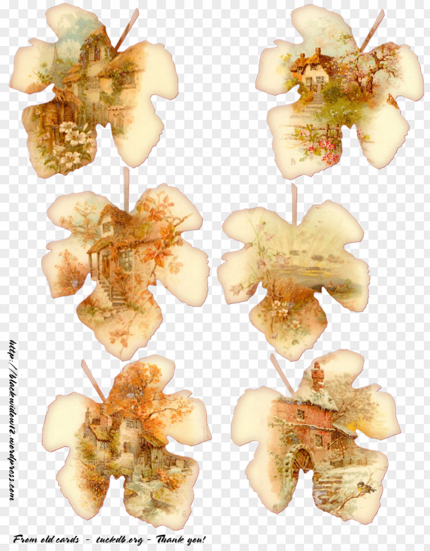 Collage Paper Craft Art Decoupage PNG