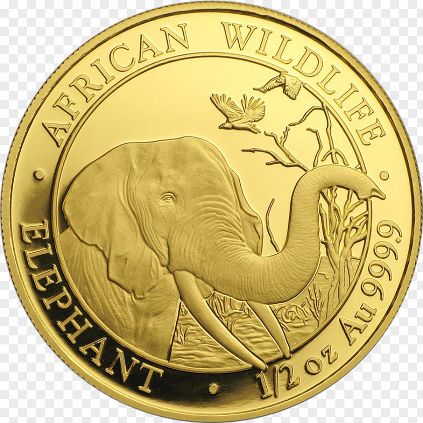 Gold Coin Silver Ounce PNG