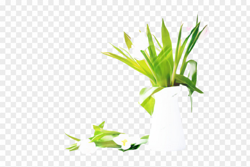 Lily Of The Valley Herb Flower Cartoon PNG
