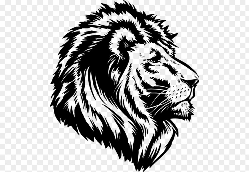 Lion Lion's Roar Drawing Cat PNG