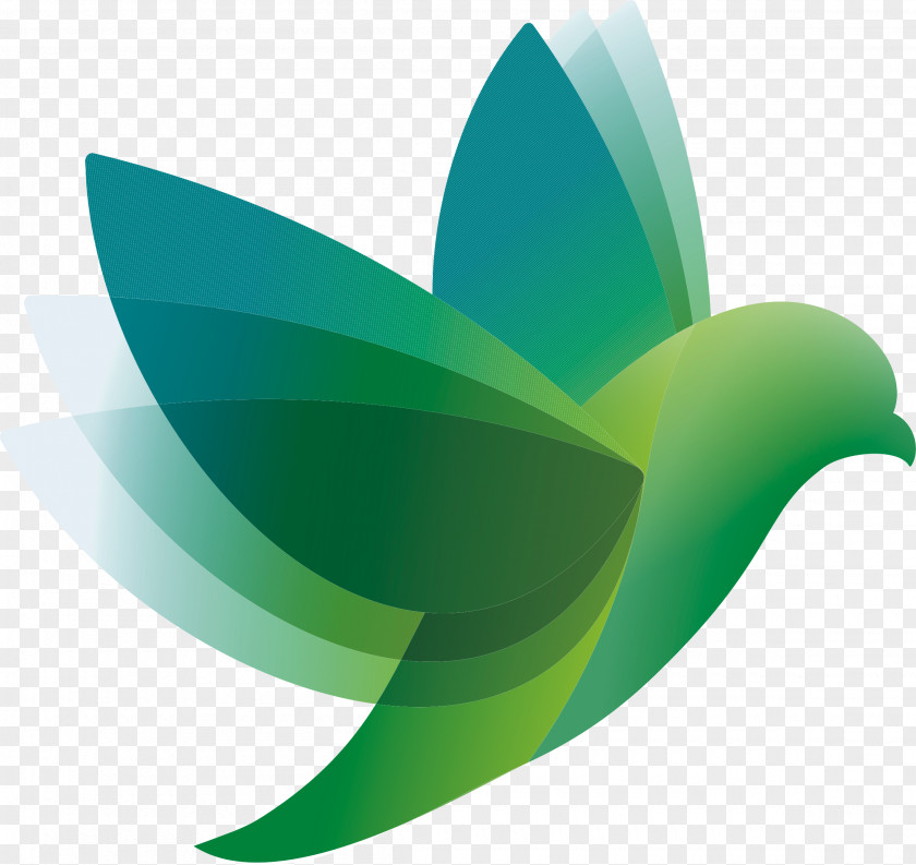 Vector Green Bird Logo PNG