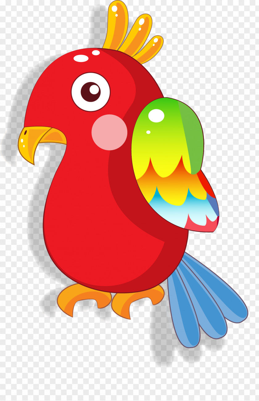 Weekly Assignments Parrot Bird Clip Art Rooster Illustration PNG