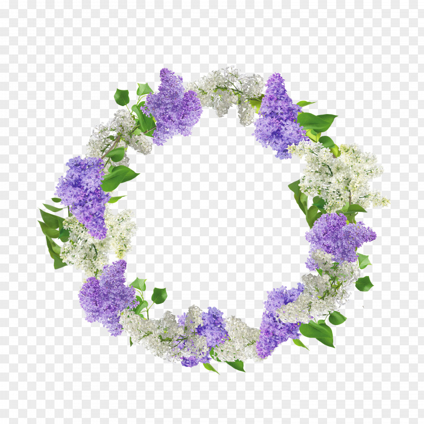 Babys Breath Wreath Floral Design Flower Illustration Art PNG