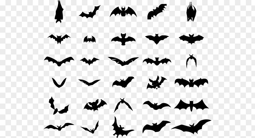 Bat Logo Clip Art PNG