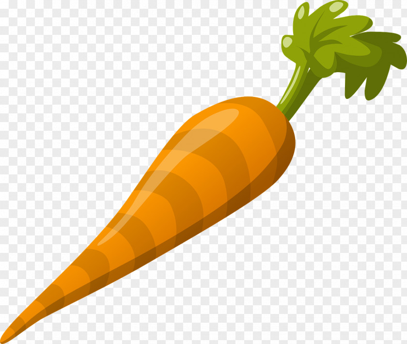 Carrot Clip Art PNG