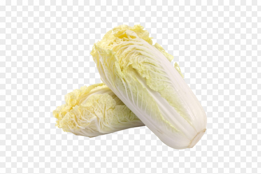 Chinese Cabbage Vegetable Napa Food PNG