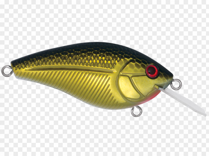 Livingston Spoon Lure Fish AC Power Plugs And Sockets PNG