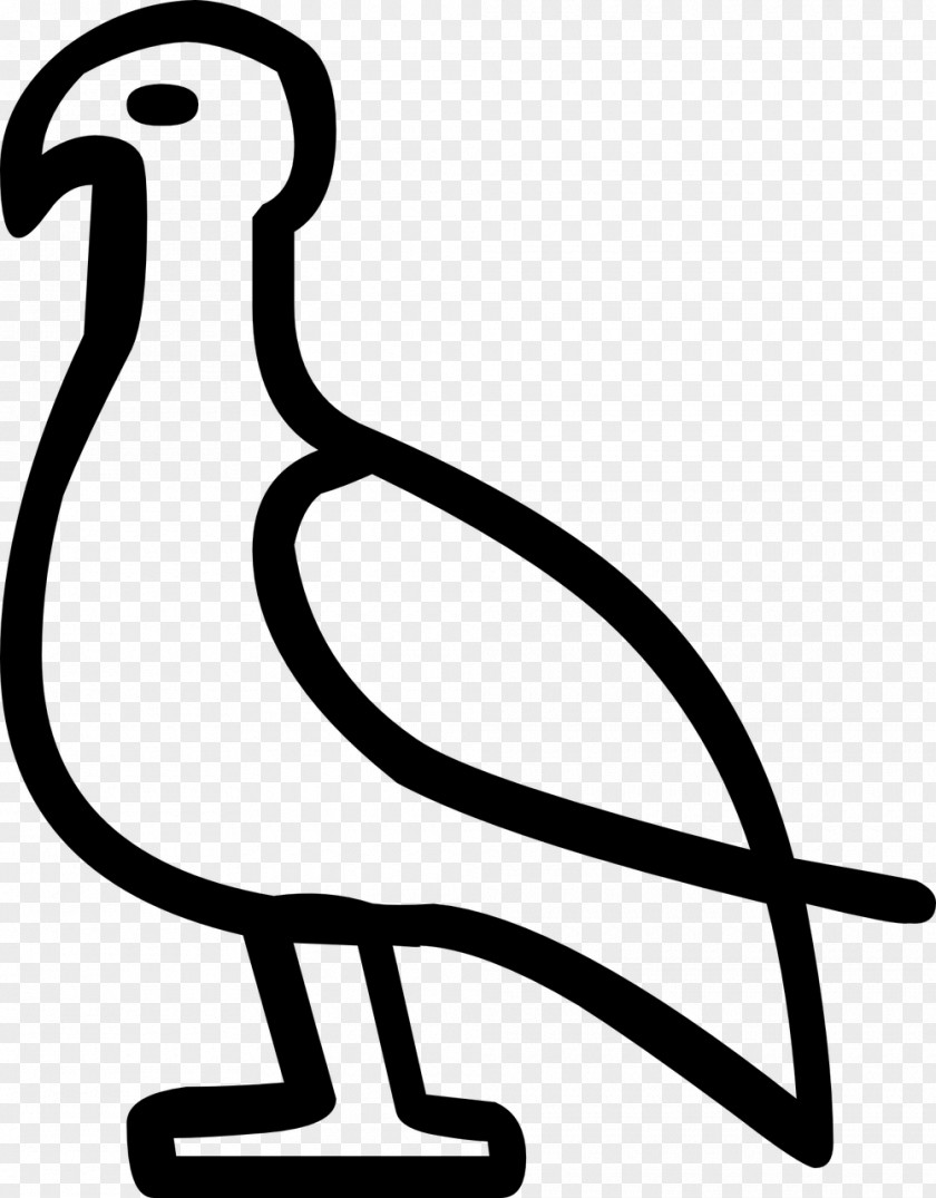 Pigeon Clipart Clip Art PNG