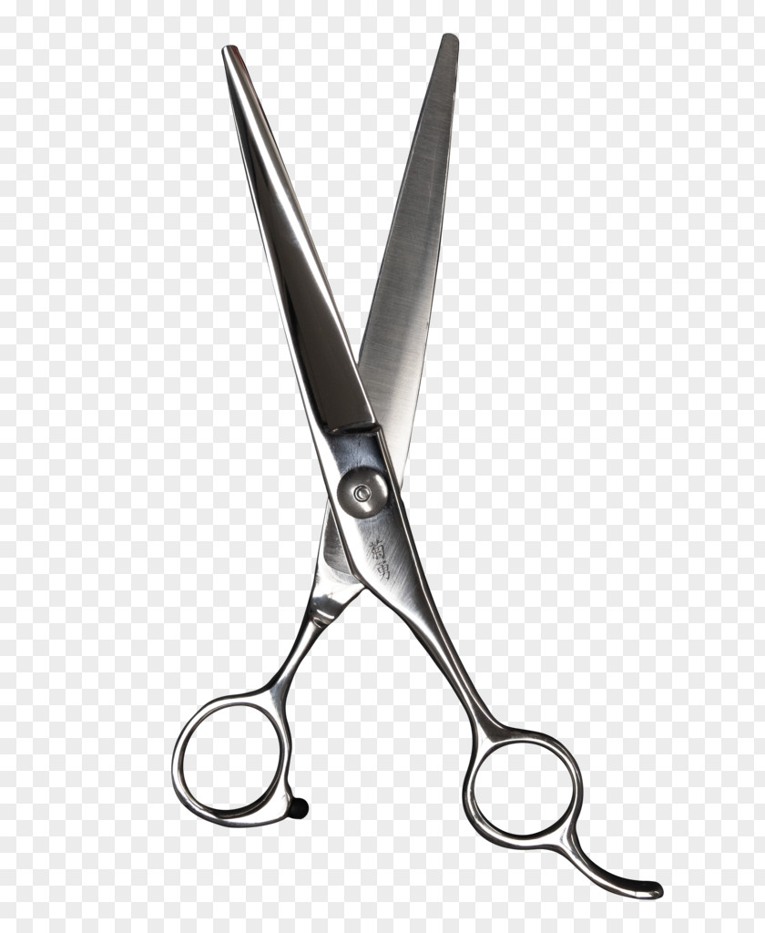 Tool Metal Scissors Cutting Hair Shear Surgical Instrument Office Supplies PNG