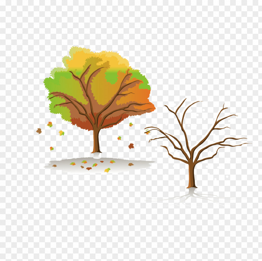 Autumn Trees And Winter Tree Four Seasons Hotels Resorts Clip Art PNG
