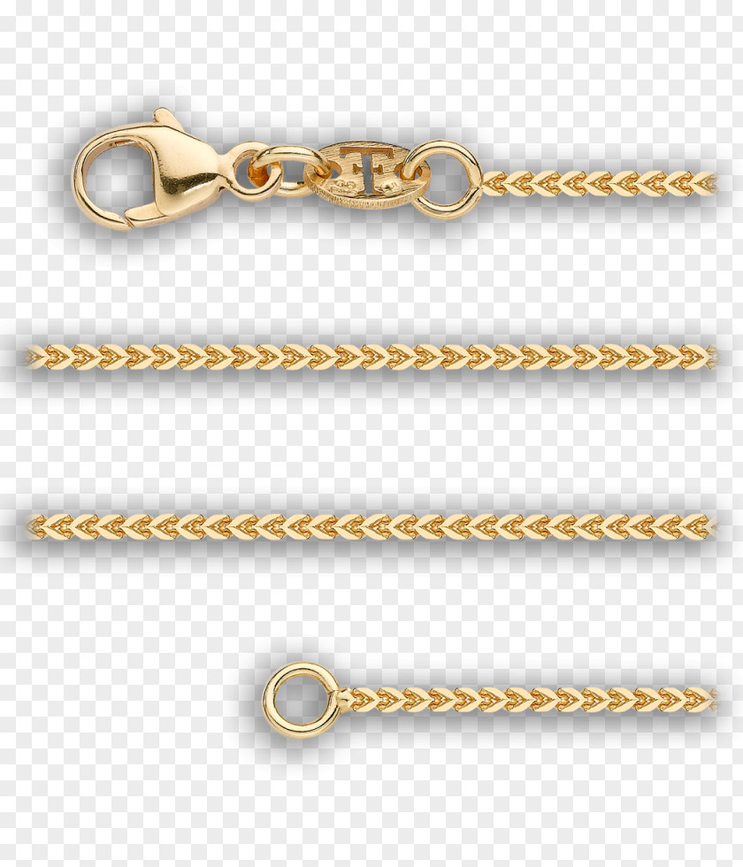 Golden Chain Colored Gold Necklace Charms & Pendants PNG