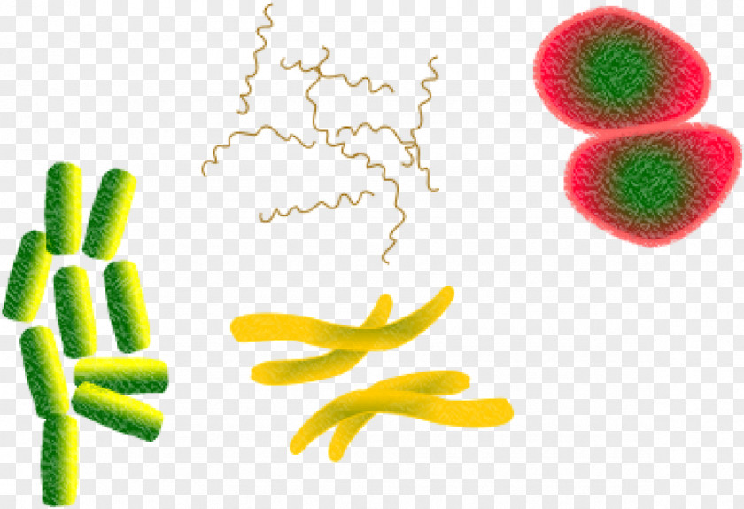 Hand Health Bacteria Cartoon PNG