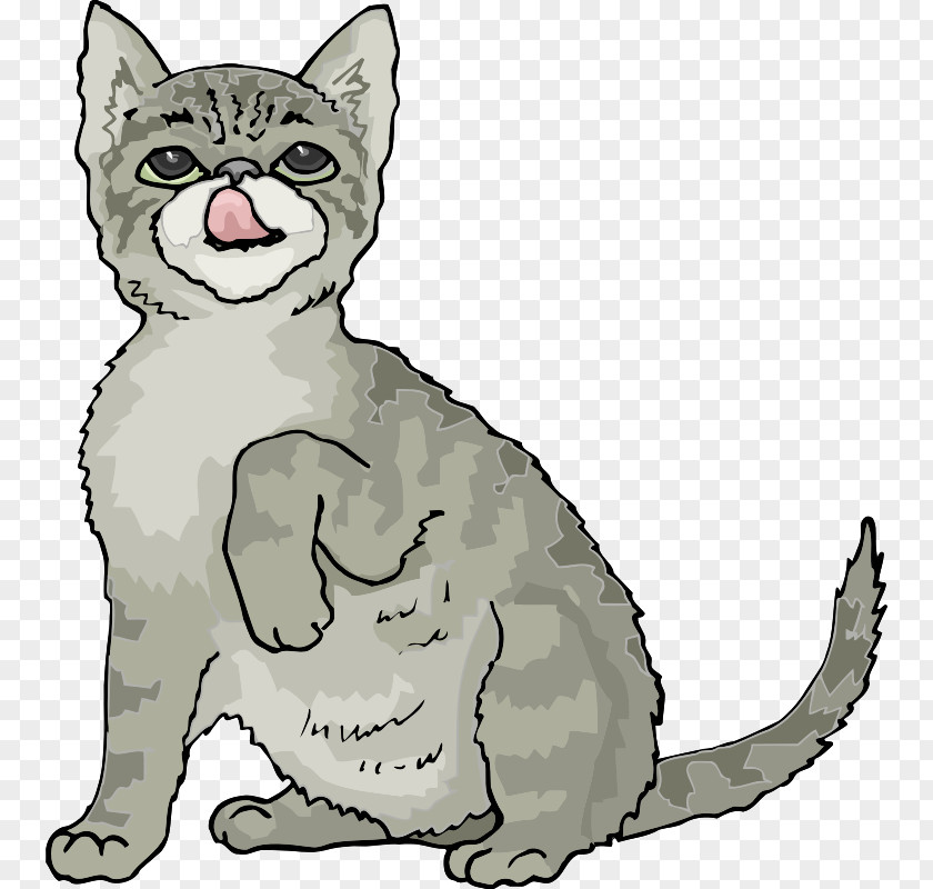 It's Clipart Himalayan Cat Kitten Siamese Clip Art PNG
