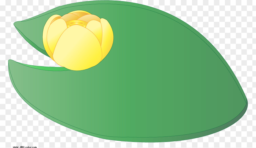 Oval Tulip Pond Cartoon PNG