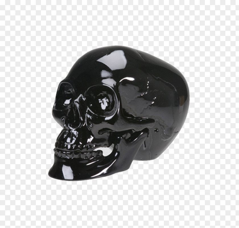 Skull Human Skeleton Calavera Jaw PNG