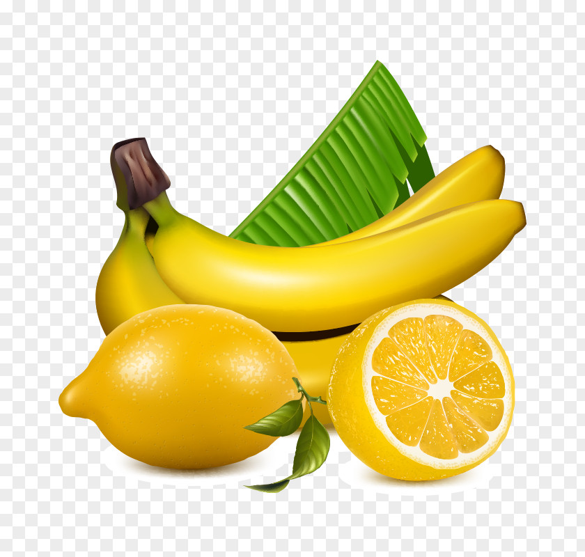 Banana Can Lemon Vector Graphics Stock Photography Fruit Illustration PNG