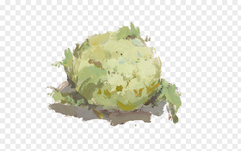 Chinese Cabbage Color Vegetable Gouache Painting PNG