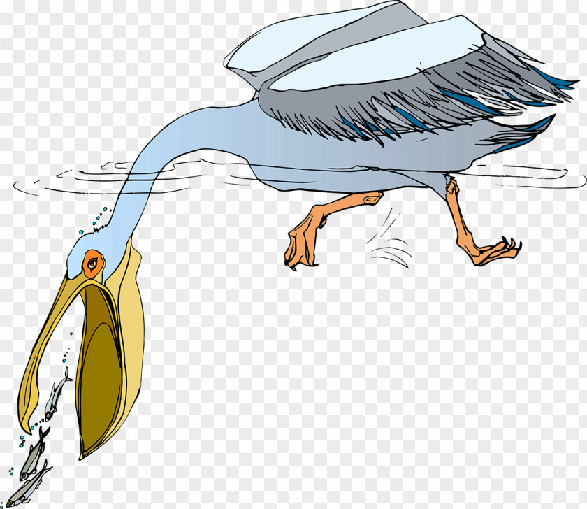 Birds Duck Water Bird Goose Anatidae PNG