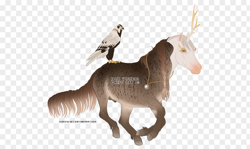 Mustang Mule Donkey Rein Goat PNG