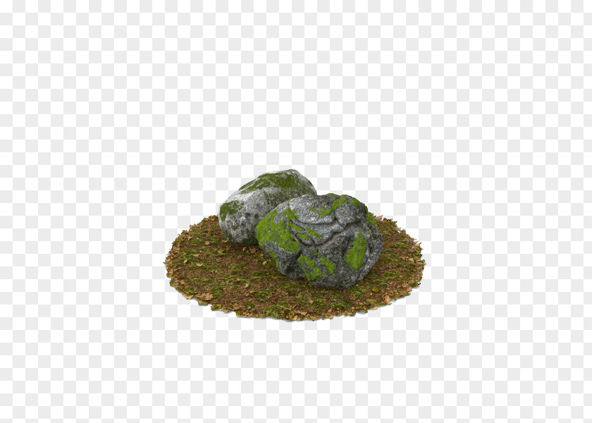 On Two Long Grass Moss Rock Wall Free Download PNG