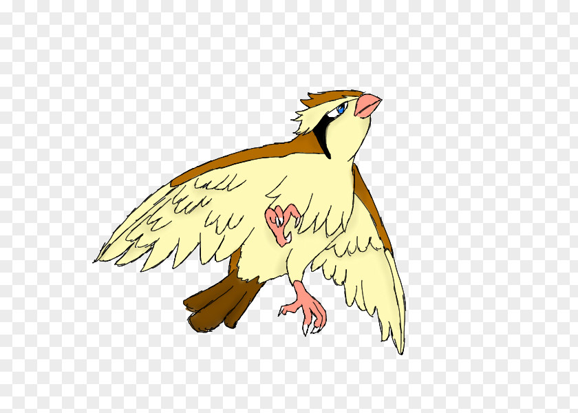 Pidgey Pidgeotto Bird Pokémon GO PNG