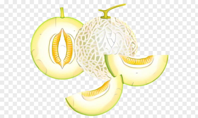 Plant Cucumis Lemon PNG