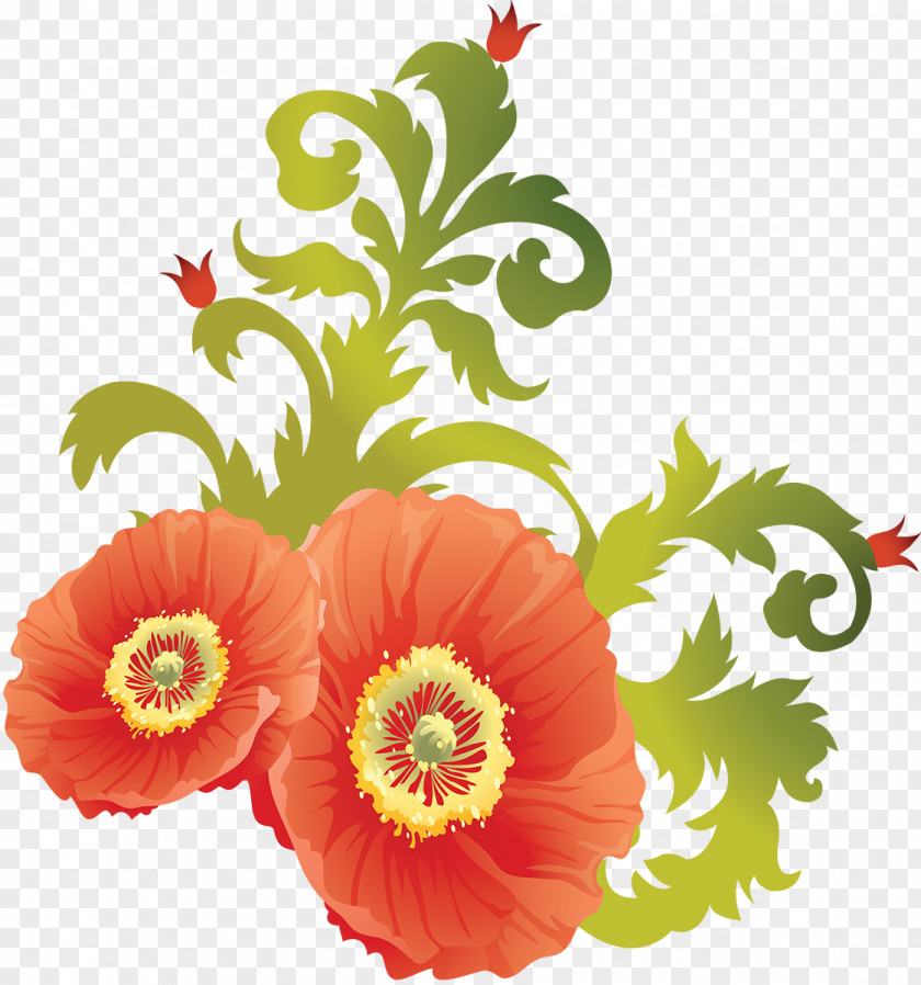 Poppy Opium Flower Clip Art PNG