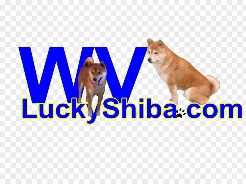 Shiba Inu Dog Breed Puppy Snout PNG