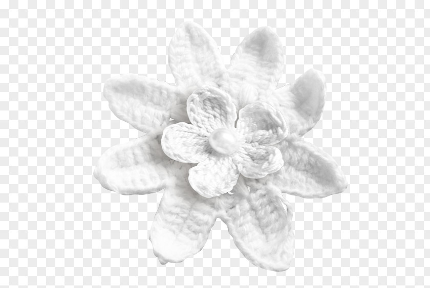 Silver Blackandwhite White Petal Flower Plant Brooch PNG
